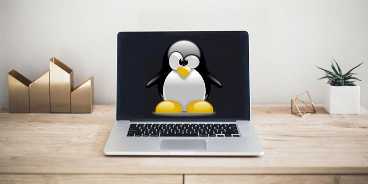 9 новых дистрибутивов Linux, которые стоит попробовать в 2022 году